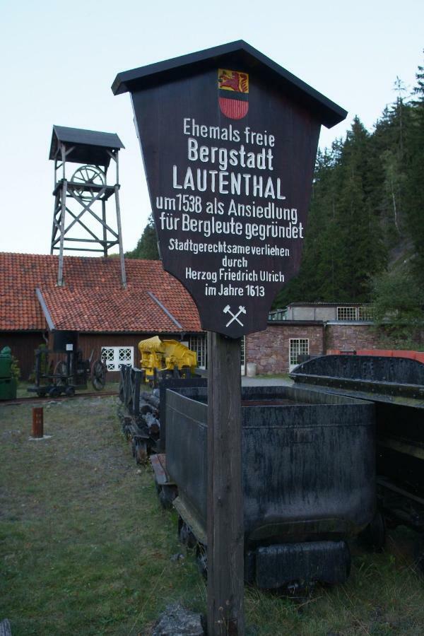 Ferienwohnung Harzblick Lautenthal Exterior foto